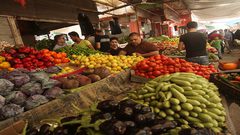 الإحصاء: ارتفاع أسعار المنتج بنسبة 0.37% خلال شهر أيار