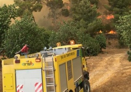 مستوطنون يحرقون عشرات الدونمات شرق نابلس