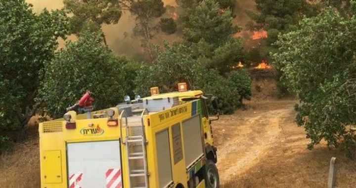 مستوطنون يحرقون عشرات الدونمات شرق نابلس