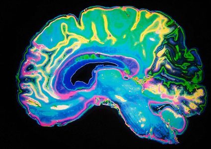 ما هي أفضل طريقة لمعرفة مستوى الذكاء الذي تتمتع به ؟