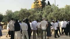 76 مستوطناً يقتحمون المسجد الأقصى المبارك بحماية مشددة