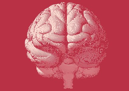 اكتشاف ما يقرب  1000 جين جديد مرتبط بالذكاء