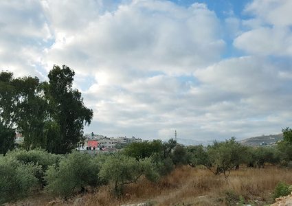 حالة الطقس: أجواء حارة وارتفاع آخر على درجات الحرارة