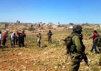 الاحتلال يمنع مزارعي جالود من حصاد 250 دونما من محاصيل القمح