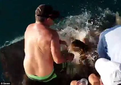 قرش ينقض على سائحة أطعمته ويسحبها إلى الماء