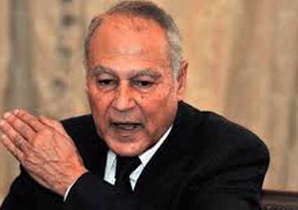 أبو الغيط: القضية الفلسطينية قضية كل العرب