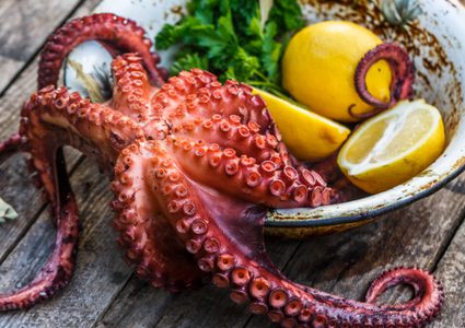 أخطبوط كأس العالم... قتلوه ثم أكلوه