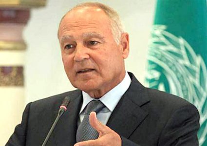 أبو الغيط أمام البرلمان العربي: فلسطين ستظل قضية العرب الأولى