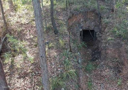 أسترالي يعثر على "منجم ذهب" بحديقة منزله