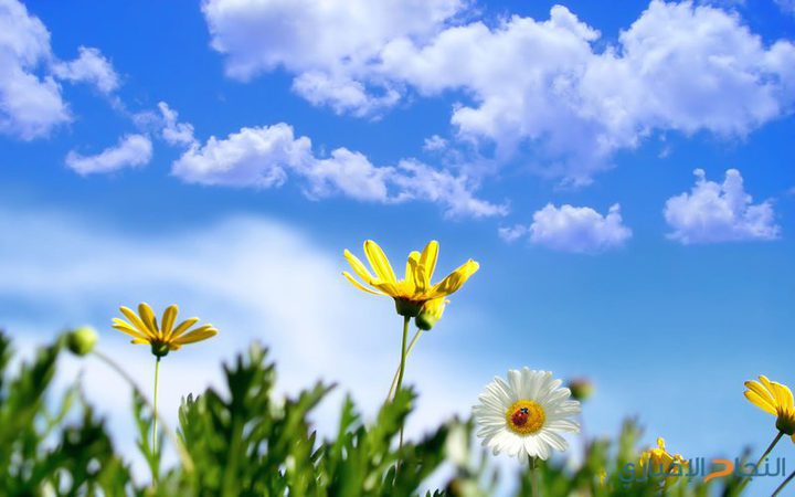 حالة الطقس: ارتفاع آخر على درجات الحرارة