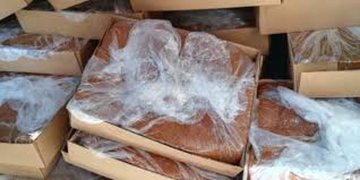 اتلاف 500 كغم عجوة تمر غير صالحة للاستهلاك