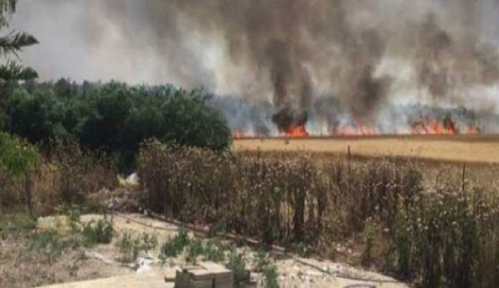اندلاع حرائق في مستوطنات غلاف غزة بفعل البالونات الحارقة