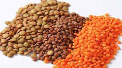 دراسة تكشف "أسرارا" طبية للعدس