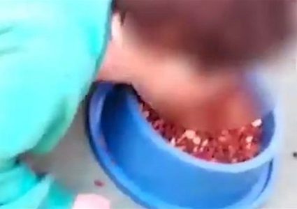 فيديو صادم... أم تجبر طفلها "المريض" على تناول طعام الكلاب