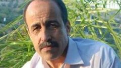 بينهم محاضر في "النجاح" .. اعتقالات بالضفة