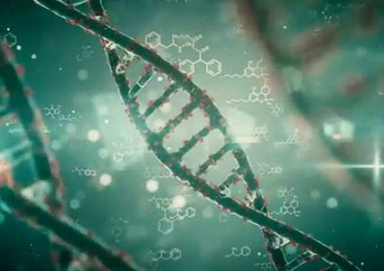 التوتر في الطفولة المبكرة يمكن أن يجعل الدماغ يعيد بناء نفسه