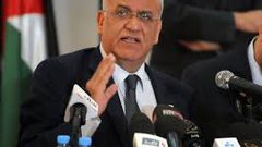 عريقات يعرب عن تقديره لمجلس الشيوخ الإيرلندي