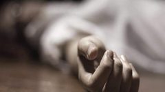 الكلاب تنهش لحم سيدة قتلت على يد أحد أقربائها