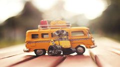 ذكاء اصطناعي ينقذ سيارات القيادة الذاتية