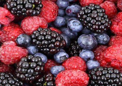 التوت يخفض خطر الإصابة بأمراض القلب