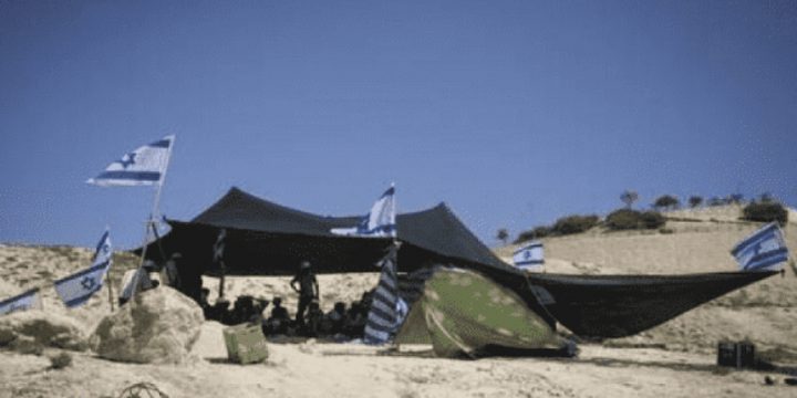 مستوطنون ينصبون معرشات بالأغوار الشمالية