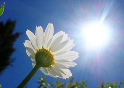 الطقس: أجواء حارة اليوم وغداً