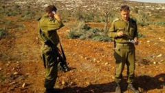 الاحتلال يقتلع 350 شجرة مثمرة في دير بلوط