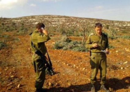 الاحتلال يقتلع 350 شجرة مثمرة في دير بلوط