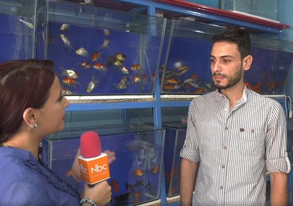 معرض كوكتيل الأسماك وطيور الزينة في قطاع غزة