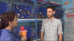 معرض كوكتيل الأسماك وطيور الزينة في قطاع غزة