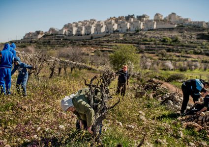 المستوطنون "سرقوا" معظم اراضي الضفة الغربية