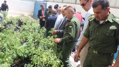 طوباس في مواجهة السموم