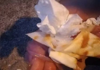 الاحتلال يطلق كلابه على والدة أسير في بيت لحم