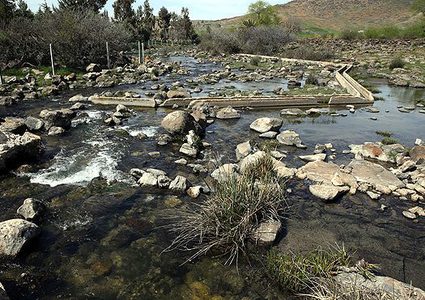 مقتل أكثر من مئتي ناشط بيئي في العالم خلال 2017