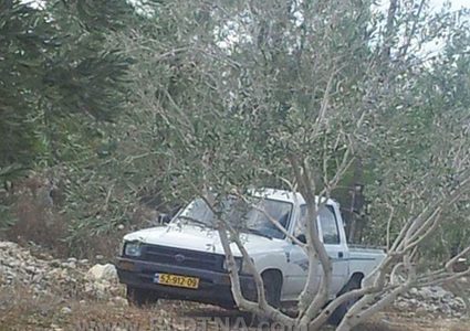 مستوطنون يهاجمون منطقة لفجم شرق عقربا