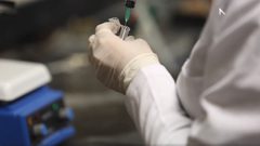 جامعة النجاح الوطنية أحد أهم بوابات البحث العلمي