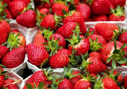 الفراولة والتوت للوقاية من أمراض القلب