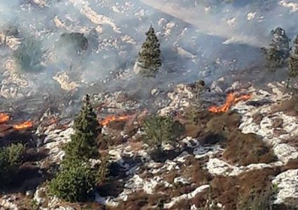 حريق قرب قرية الرينة في الجليل