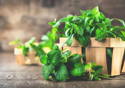 طرق للقضاء على الحشرات المنزلية