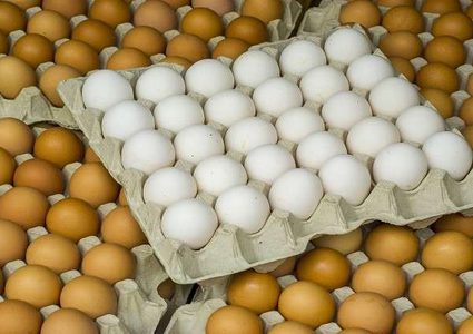 ما الفرق بين البيض البني والأبيض؟