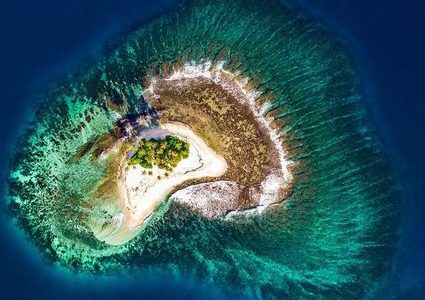 حموضة المحيطات تحطم رقما قياسيا