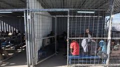 3 أسرى يدخلون أعواما جديدة في سجون الاحتلال