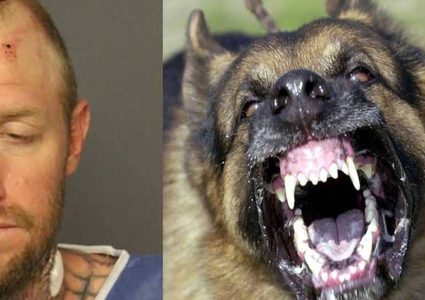 اتهام أميركي بـ"عض" كلب بوليسي