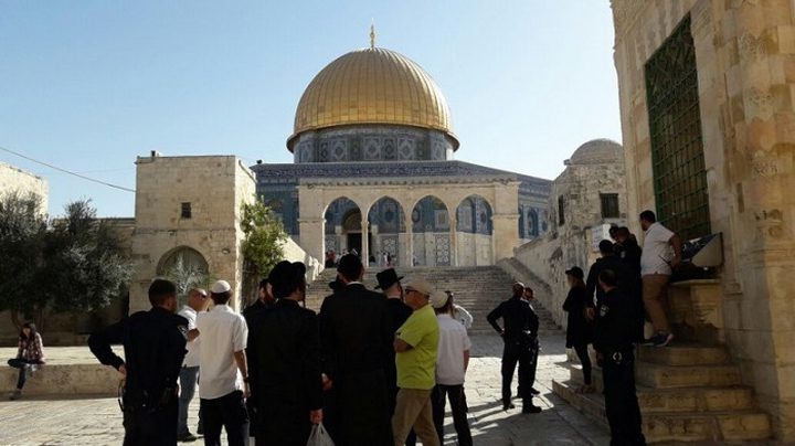 الاحتلال يبعد مقدسيتين عن المسجد الأقصى
