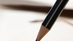 السياسة في خدمة الصمود وتنمية الإنسان