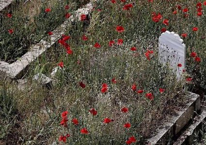 عاد إلى الحياة بعد الموت!