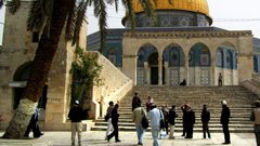 الاحتلال يعتقل مصلياً داخل المسجد الأقصى