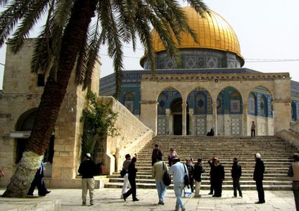 الاحتلال يعتقل مصلياً داخل المسجد الأقصى