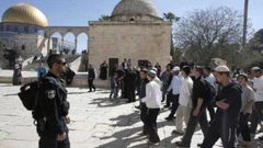 113 مستوطنًا يقتحمون باحات الأقصى صباح اليوم