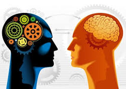 هل تزيد ألعاب الذكاء حقًا من معدل ذكائك؟